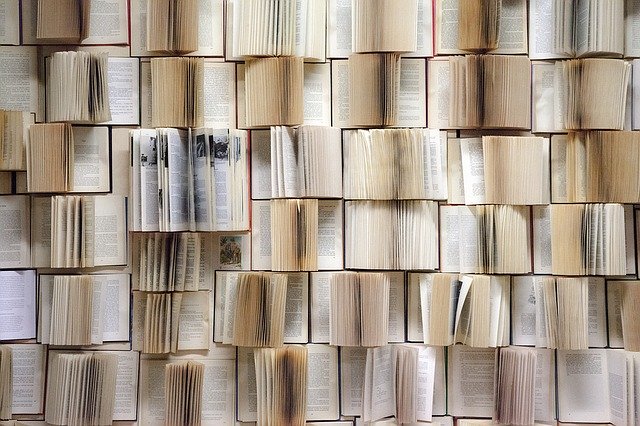Pared libros , Cómo vender tus libros
